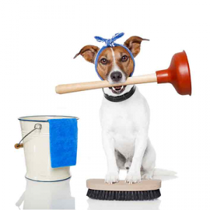 Montgomery Plumber
