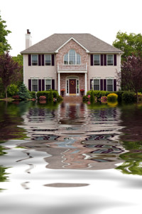 Montgomery Sump Pump